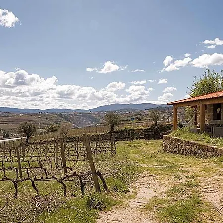 Quinta Da Portela - Chale Da Vinha - By Met *