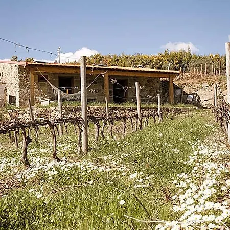Quinta Da Portela - Chale Da Vinha - By Met * Lamego